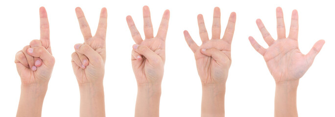 hands counting from one to five isolated on white background