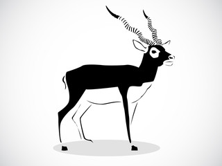 blackbuck