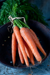 Fresh organic carrots