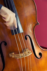 Double bass player