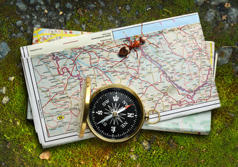 Compass, ant and map
