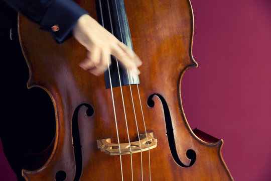 Double bass player