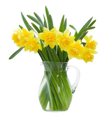 bunch of daffodils © neirfy