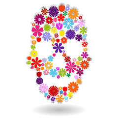 Flower skull in colors over white