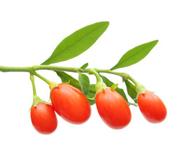 Goji berry isolated on white background.