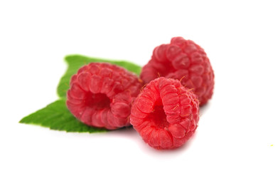 raspberries isolated