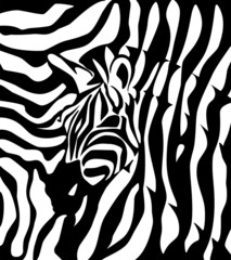 Zebra logotype