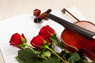 Fototapeta premium Red roses and a violin