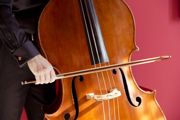 Double bass player