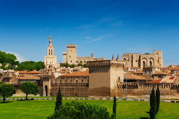 Fototapeta premium Avignon town in Provence province