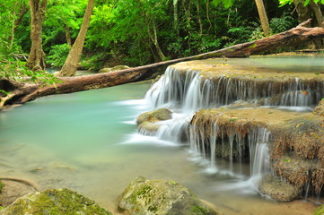 Green Waterfall in Tropical Rainforest
