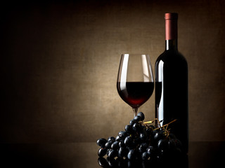 Wine and grape
