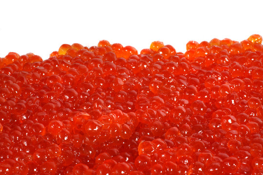 Fresh red caviar