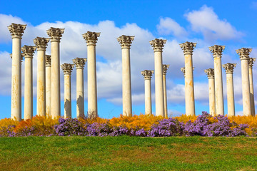Capitol Columns at sunset, National Arboretum, Washington DC - 58868658