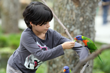 Girl and rainbow lorikeet