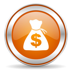 money icon