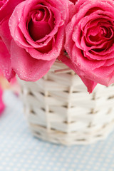 pink roses in the basket