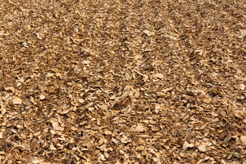 Dried cassava