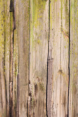 Naklejka premium Old wood background