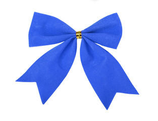 Beautiful blue gift bow