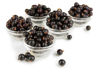 Fresh black currant isolated on white