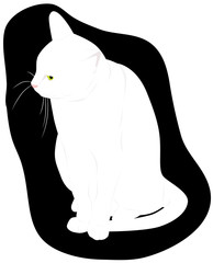 White cat