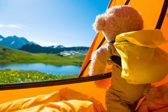 teddy bear camping