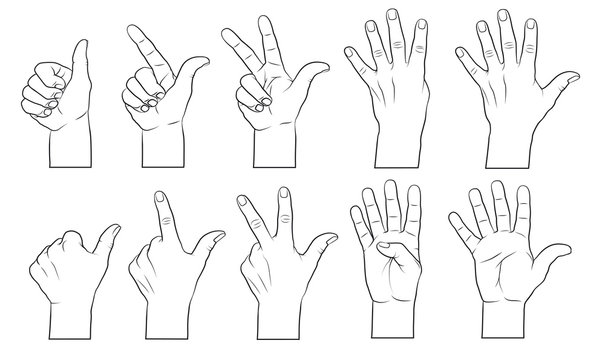 Hände, zählende (1,2,3,4,5)
