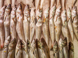 Obraz premium Fische