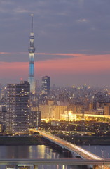 Fototapeta na wymiar Tokyo Sky Drzewo