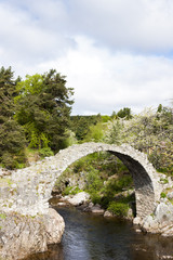 Fototapeta na wymiar Old Packhorse bridge, Carrbridge, Highlands, Scotland