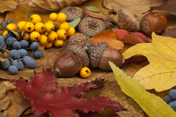 Autumn Card