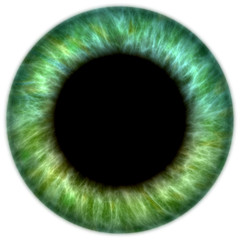 green iris