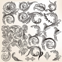 Vector set of calligraphic vintage swirls for design
