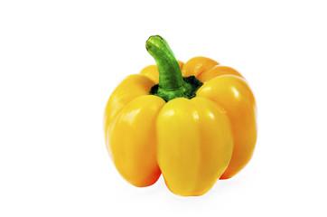 capsicum