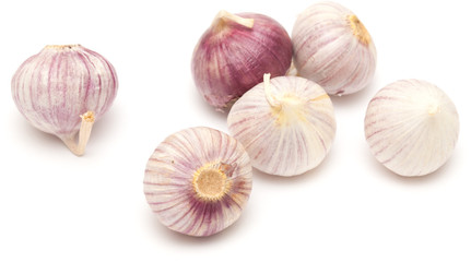 Single clove garlic