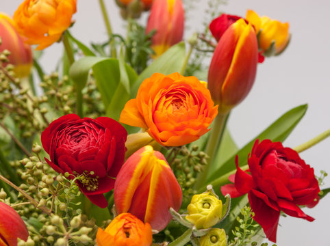 Red and orange ranunculus and tulips