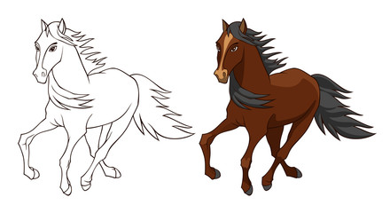 Horse illustration isolated on white background