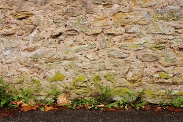 Hintergrund Natursteinwand