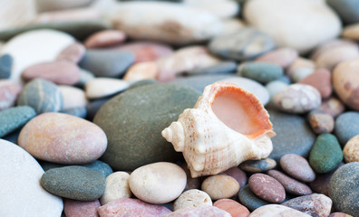 beach stones