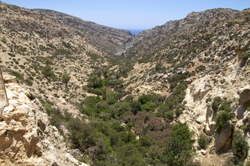 Oase mit Palmen in der Martsalo Schlucht auf Kreta