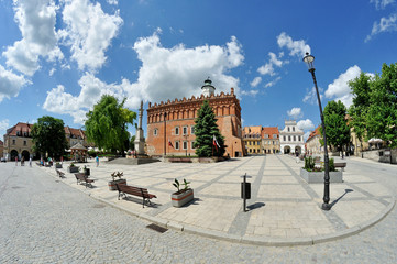 Town hall in Sandomierz - obrazy, fototapety, plakaty