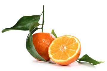 Blattclementine isoliert auf weißem Hintergrund