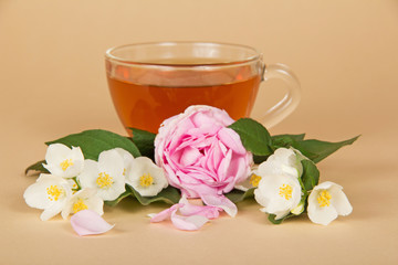 Cup with tea, branches of jasmine and rose