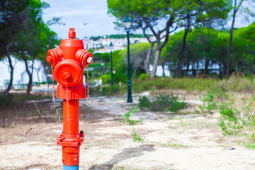 Fototapeta na wymiar Red Fire hydrant on nature in Europe