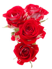 Red rose flower bouquet isolated on white background cutout