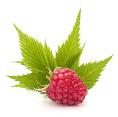 Sweet raspberry isolated on white background cutout