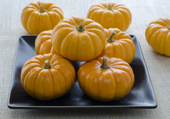 Ornamental halloween mini pumpkins