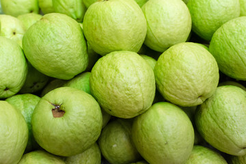 Green guavas close up