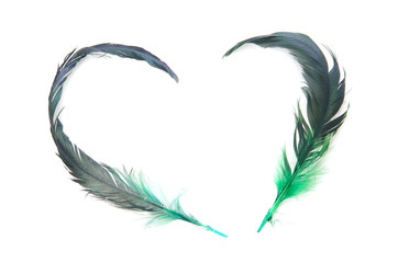 Feather of love